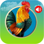 Cover Image of Tải xuống Animals and Birds Ring Tones 1.50 APK