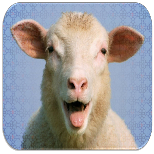 Sheep Sounds 1.0 Icon