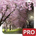 Cover Image of Baixar Spring Cherry Blossom Live Wal  APK