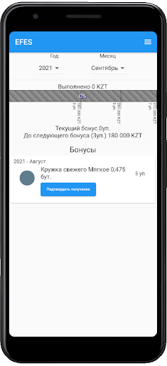 EFES E-Partner SCS Screen 2