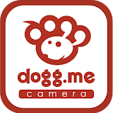 dogg.me camera(ドッグミーカメラ)犬専用カメラ icon