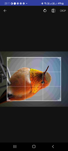 Simple Photo Editor Screen 3