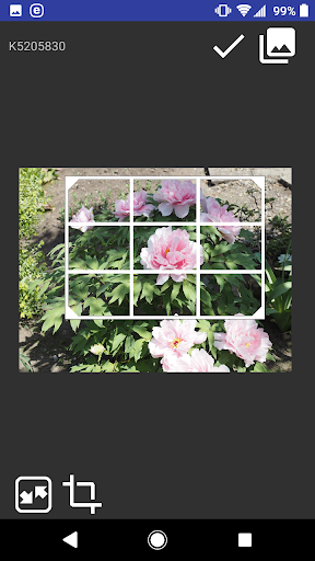 Crop Image Screen 2