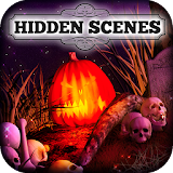 Hidden Scenes - Halloween Time icon