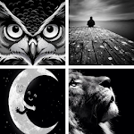 Cover Image of Download Black and White HD Wallpapers  APK