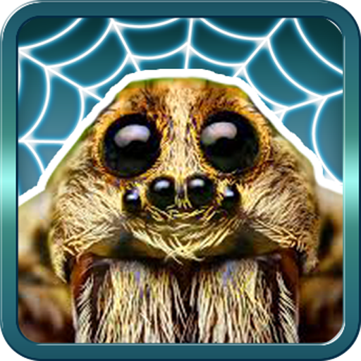 Spider Gagambattle! Download on Windows