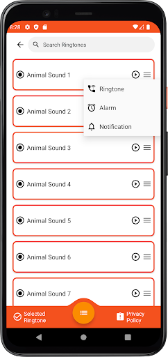 Animal Sounds