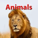 Cover Image of Baixar Animals for Kids Education  APK