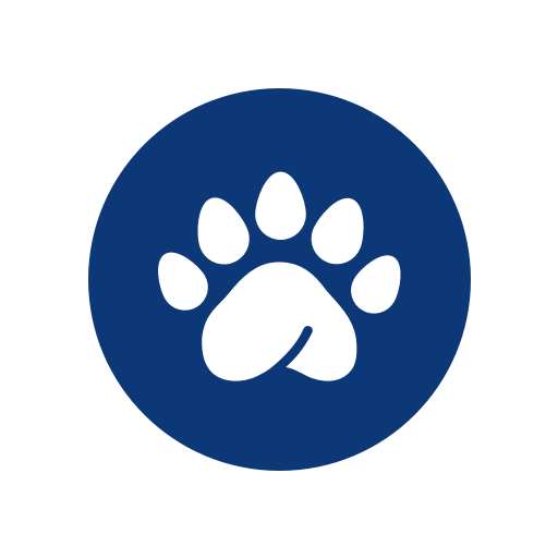Pandape Time Clock logo