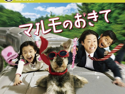 √ダウンロード マルモ 犬 262662-マルモ 犬 犬種