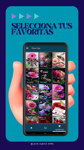 Roses and beautiful flowers Screen 3