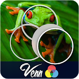 Venn Frogs: Circle Jigsaw icon