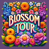 Blossom Tour icon