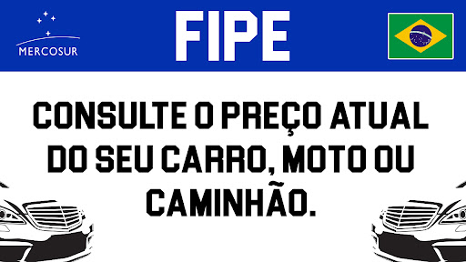 Consulta Placa Multa e Fipe Screen 3
