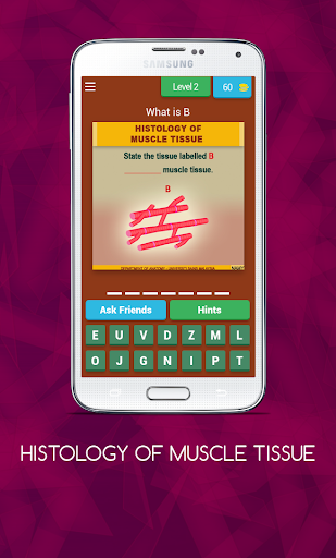 Anatomy Online Quiz Histology Of Muscle Tissue