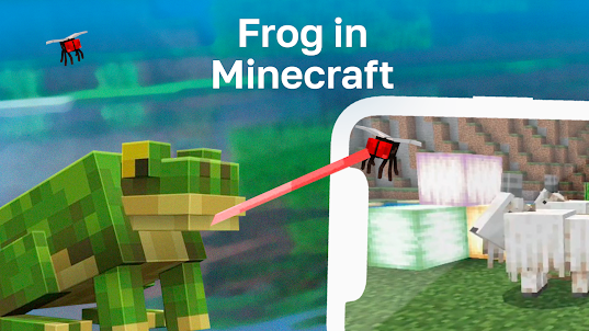 Frog Mod