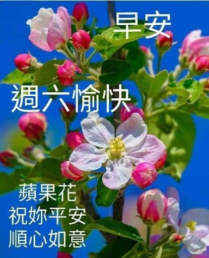 Good morning greetings Screen 3