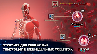 Game screenshot Эволюция никогда заканчивается mod apk