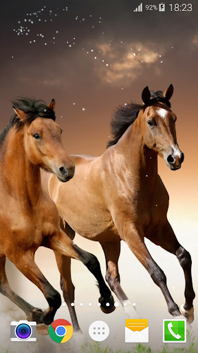 Horse Live Wallpaper Screen 3