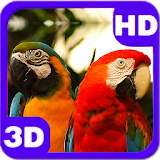 Beautiful Parrots Couple 3D icon