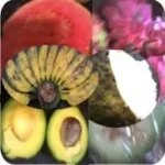 Cover Image of Download Manfaat Buah-buahan  APK