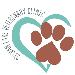 Sylvan Lake Vet: Download & Review