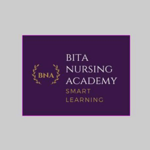 Bita Nursing Academy logo