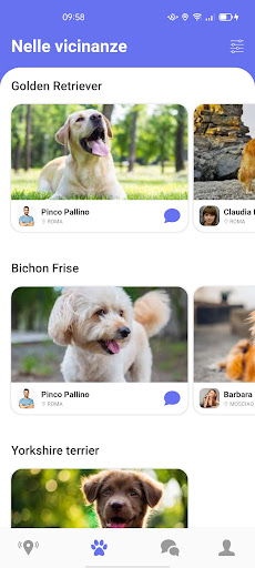 Doggo Screen 2