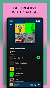 Spotify Premium 8