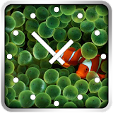 Fish Clock Widget icon