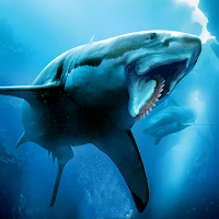 Helicoprion Simulator