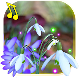 Spring Time icon