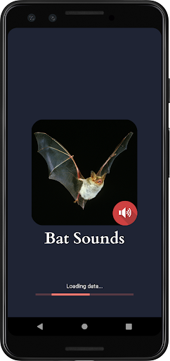 Android application Bat Sounds screenshort
