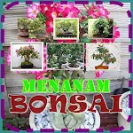 Cover Image of Unduh Menanam Bonsai  APK