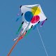 Beautiful Kites Download on Windows