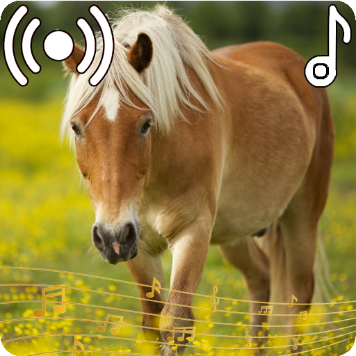 Horse Sounds Ringtone Apps on Google Play