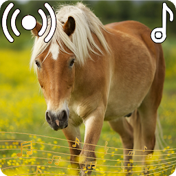 Icon image Horse Sounds Ringtone
