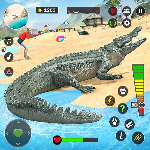 Angry crocodile beach attack