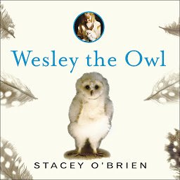 Immagine dell'icona Wesley the Owl: The Remarkable Love Story of an Owl and His Girl