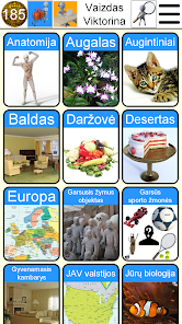 Ekrano kopijos vaizdas