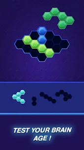 Hexa Puzzle Fun Block Puzzle