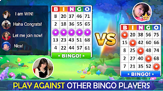 Bingo Play: Bingo Offline Fun - Screenshot 1
