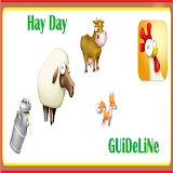 Guideline for Hay Day icon