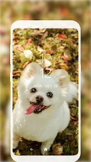 Wallpaper HD, backgrounds