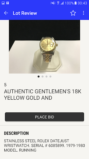 Lightning Auctions Screen 3