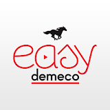 Easy Demeco icon
