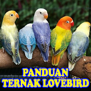 Top 37 Books & Reference Apps Like Panduan Cara Ternak Lovebird - Best Alternatives