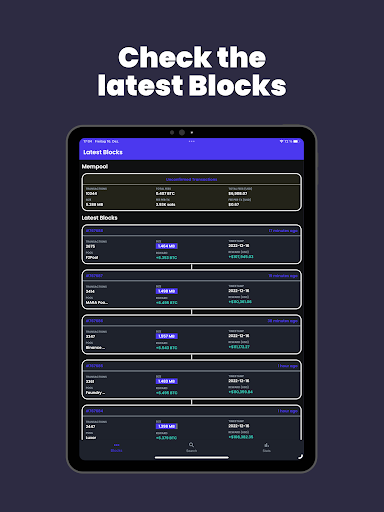 Screenshot of Bitcoin Block Explorer