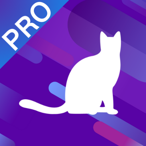 蓝猫VPN -  3秒极速连接的VPN