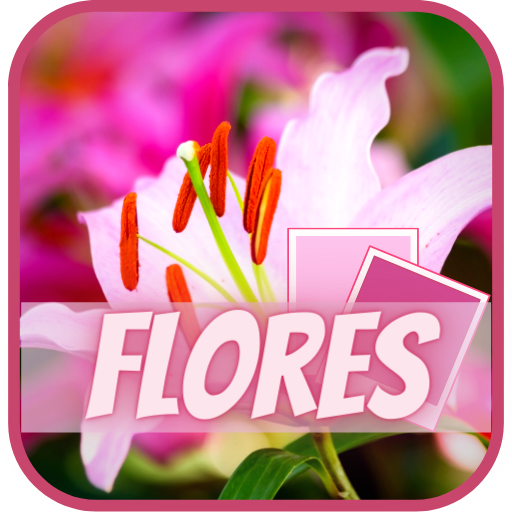 Imágenes de flores lindas